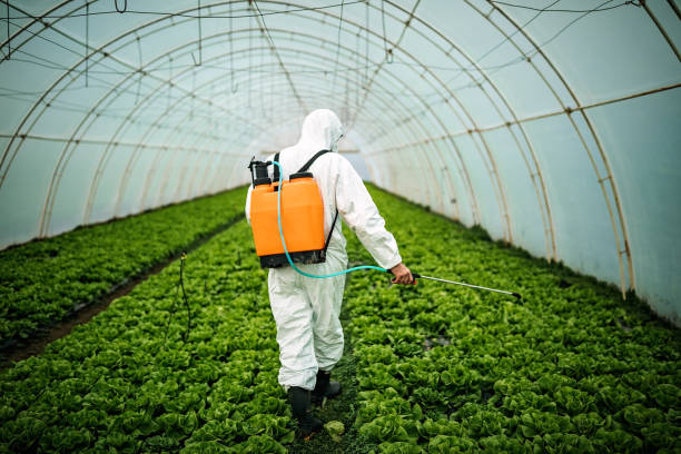 Best Affordable Pest Control Services  in Berwyn, PA