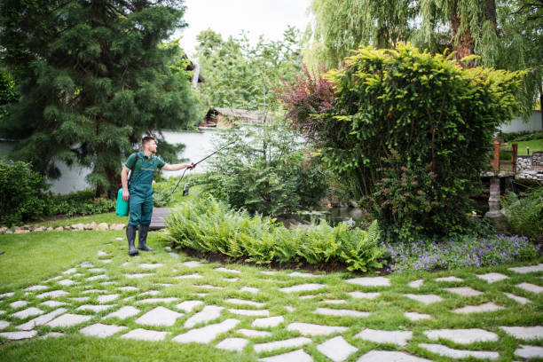 Wasp Removal Services in Berwyn, PA