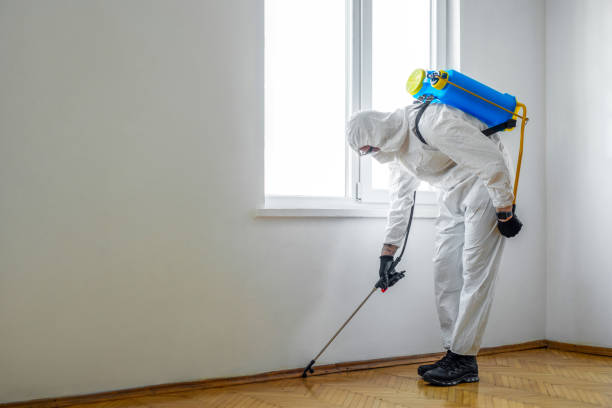 Best Pest Prevention Services  in Berwyn, PA