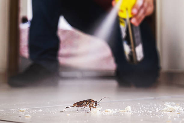 Best Pest Control for Businesses  in Berwyn, PA