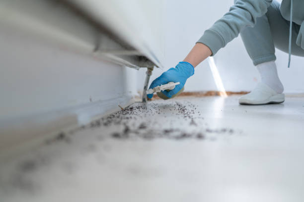 Best Pest Control for Restaurants  in Berwyn, PA